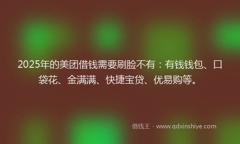 2025年的美团借钱需要刷脸不有：有钱钱包、口袋花、金满满、快捷宝贷、优易购等。