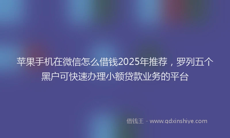 苹果手机在微信怎么借钱2025年推荐，罗列五个黑户可快速办理小额贷款业务的平台