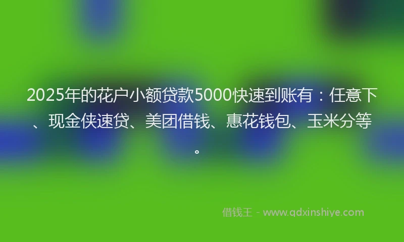 2025年的花户小额贷款5000快速到账有：任意下、现金侠速贷、美团借钱、惠花钱包、玉米分等。