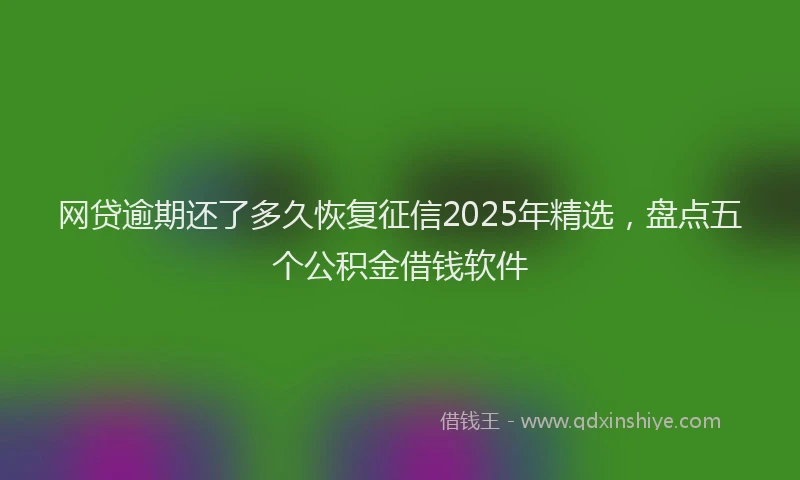 网贷逾期还了多久恢复征信2025年精选，盘点五个公积金借钱软件