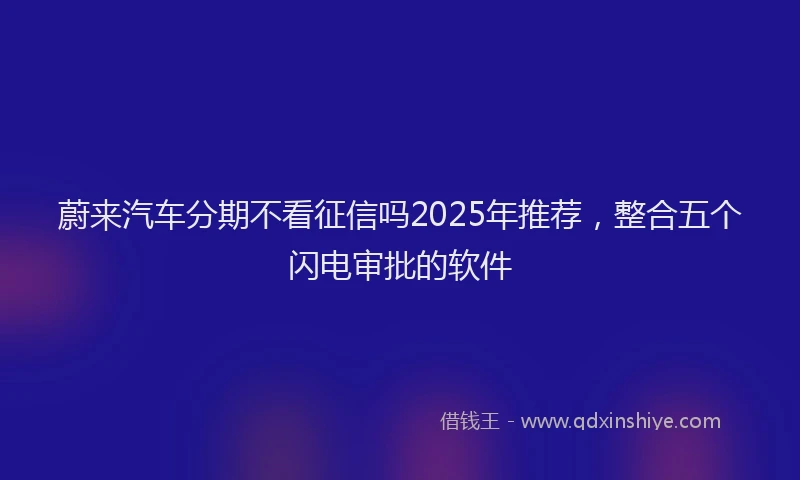 蔚来汽车分期不看征信吗2025年推荐，整合五个闪电审批的软件