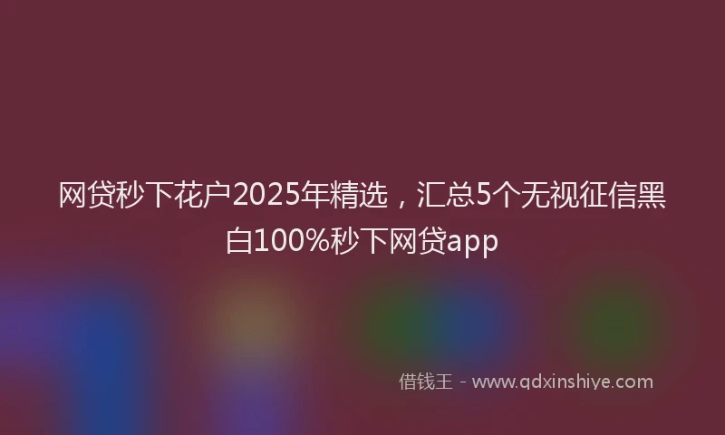 网贷秒下花户2025年精选，汇总5个无视征信黑白100%秒下网贷app