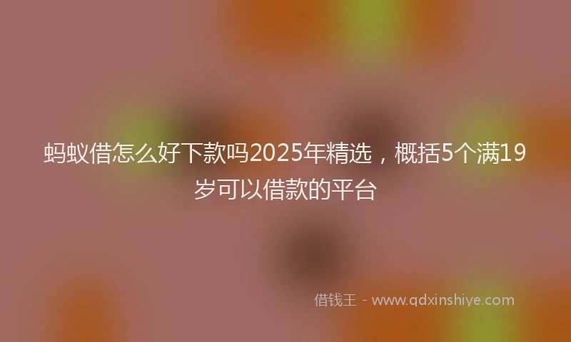 蚂蚁借怎么好下款吗2025年精选，概括5个满19岁可以借款的平台
