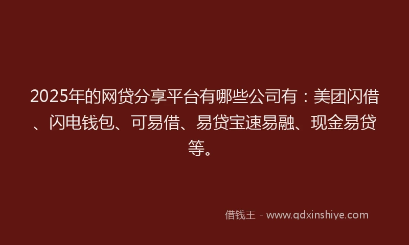 2025年的网贷分享平台有哪些公司有：美团闪借、闪电钱包、可易借、易贷宝速易融、现金易贷等。