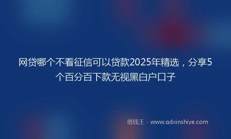 网贷哪个不看征信可以贷款2025年精选，分享5个百分百下款无视黑白户口子