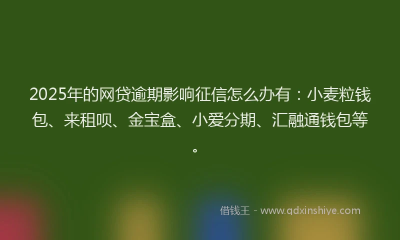2025年的网贷逾期影响征信怎么办有：小麦粒钱包、来租呗、金宝盒、小爱分期、汇融通钱包等。