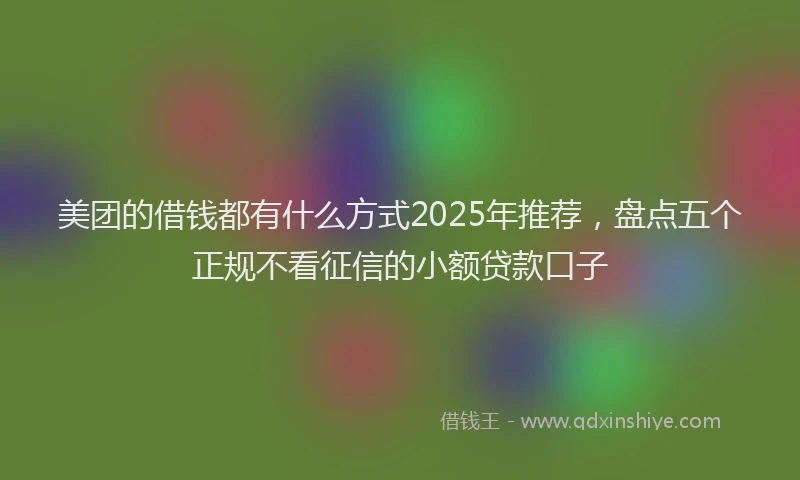 美团的借钱都有什么方式2025年推荐，盘点五个正规不看征信的小额贷款口子