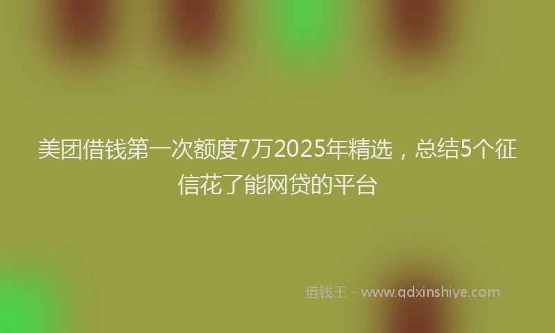美团借钱第一次额度7万2025年精选，总结5个征信花了能网贷的平台
