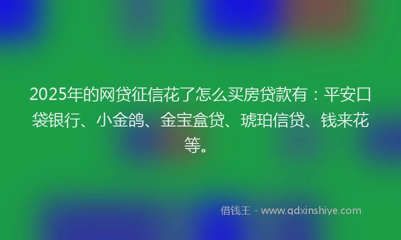 2025年的网贷征信花了怎么买房贷款有：平安口袋银行、小金鸽、金宝盒贷、琥珀信贷、钱来花等。