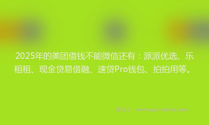 2025年的美团借钱不能微信还有：派派优选、乐租租、现金贷易借融、速贷Pro钱包、拍拍用等。