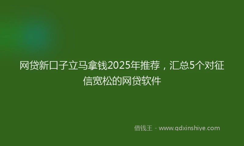 网贷新口子立马拿钱2025年推荐，汇总5个对征信宽松的网贷软件