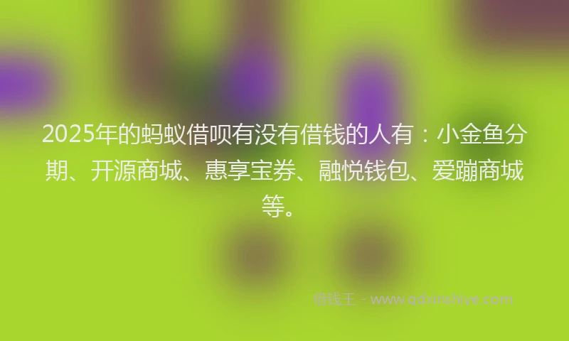 2025年的蚂蚁借呗有没有借钱的人有：小金鱼分期、开源商城、惠享宝券、融悦钱包、爱蹦商城等。