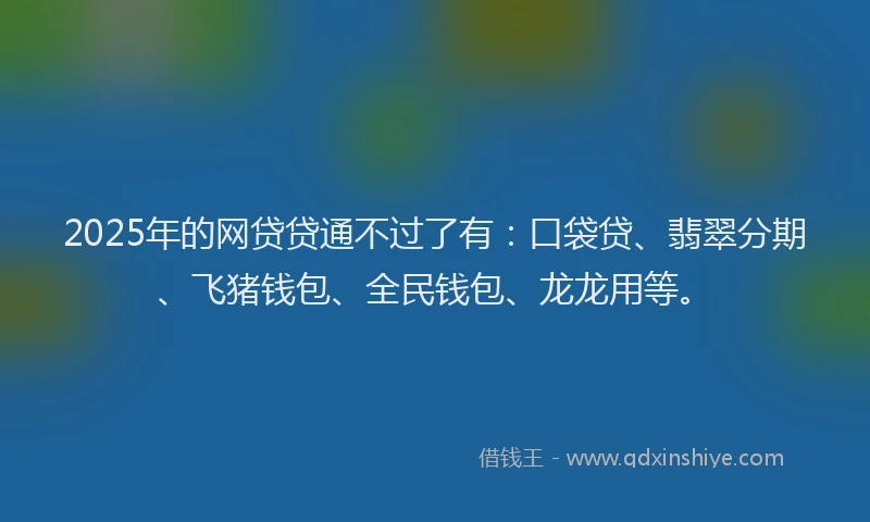 2025年的网贷贷通不过了有：口袋贷、翡翠分期、飞猪钱包、全民钱包、龙龙用等。