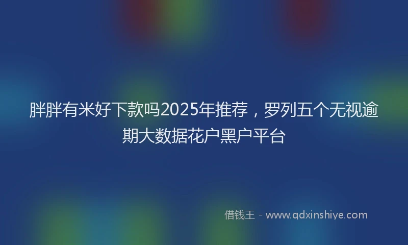 胖胖有米好下款吗2025年推荐，罗列五个无视逾期大数据花户黑户平台
