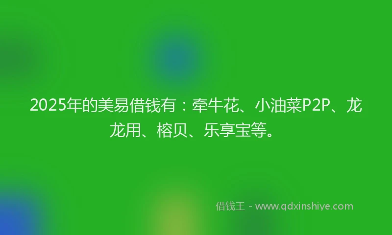 2025年的美易借钱有：牵牛花、小油菜P2P、龙龙用、榕贝、乐享宝等。