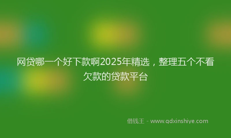 网贷哪一个好下款啊2025年精选，整理五个不看欠款的贷款平台