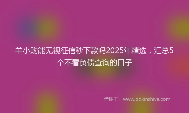 羊小购能无视征信秒下款吗2025年精选，汇总5个不看负债查询的口子