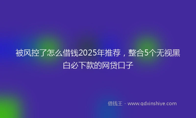 被风控了怎么借钱2025年推荐，整合5个无视黑白必下款的网贷口子