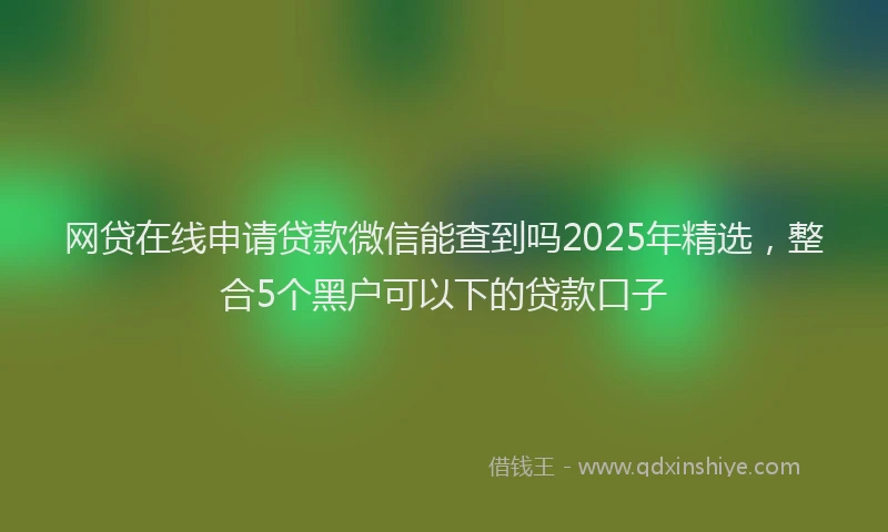 网贷在线申请贷款微信能查到吗2025年精选，整合5个黑户可以下的贷款口子