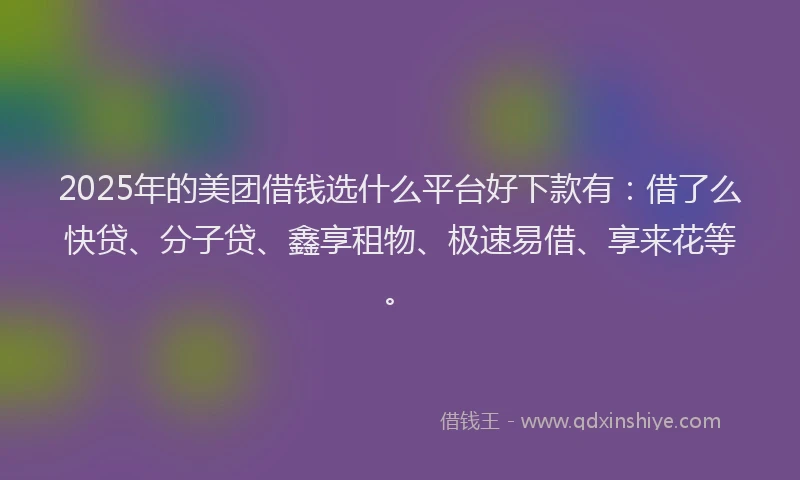 2025年的美团借钱选什么平台好下款有：借了么快贷、分子贷、鑫享租物、极速易借、享来花等。