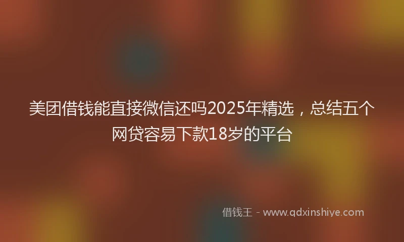 美团借钱能直接微信还吗2025年精选，总结五个网贷容易下款18岁的平台