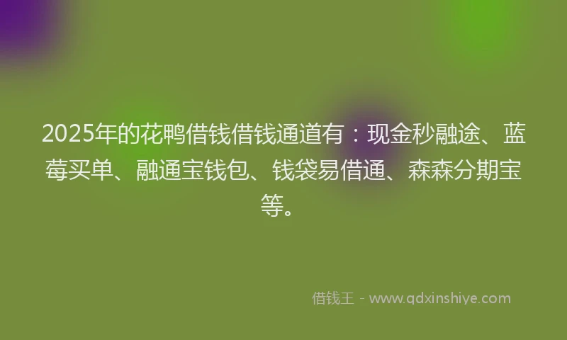 2025年的花鸭借钱借钱通道有：现金秒融途、蓝莓买单、融通宝钱包、钱袋易借通、森森分期宝等。