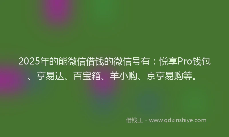 2025年的能微信借钱的微信号有：悦享Pro钱包、享易达、百宝箱、羊小购、京享易购等。