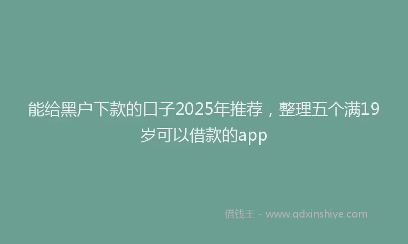 能给黑户下款的口子2025年推荐，整理五个满19岁可以借款的app