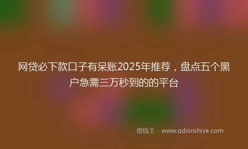 网贷必下款口子有呆账2025年推荐，盘点五个黑户急需三万秒到的的平台