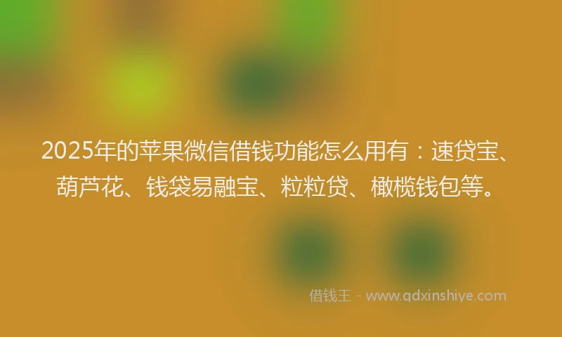 2025年的苹果微信借钱功能怎么用有：速贷宝、葫芦花、钱袋易融宝、粒粒贷、橄榄钱包等。