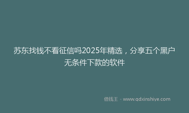 苏东找钱不看征信吗2025年精选，分享五个黑户无条件下款的软件