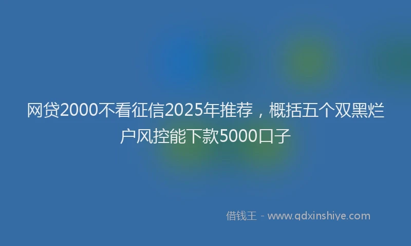 网贷2000不看征信2025年推荐，概括五个双黑烂户风控能下款5000口子