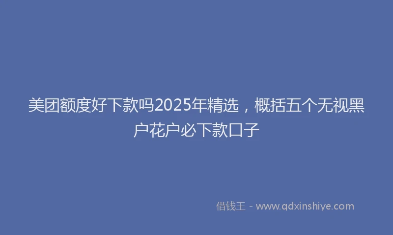 美团额度好下款吗2025年精选，概括五个无视黑户花户必下款口子