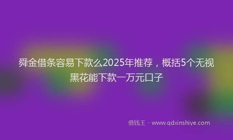 舜金借条容易下款么2025年推荐，概括5个无视黑花能下款一万元口子