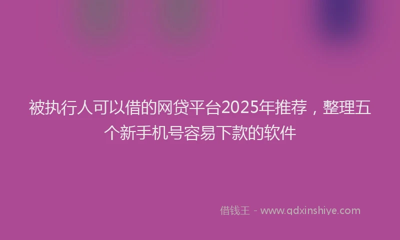 被执行人可以借的网贷平台2025年推荐，整理五个新手机号容易下款的软件