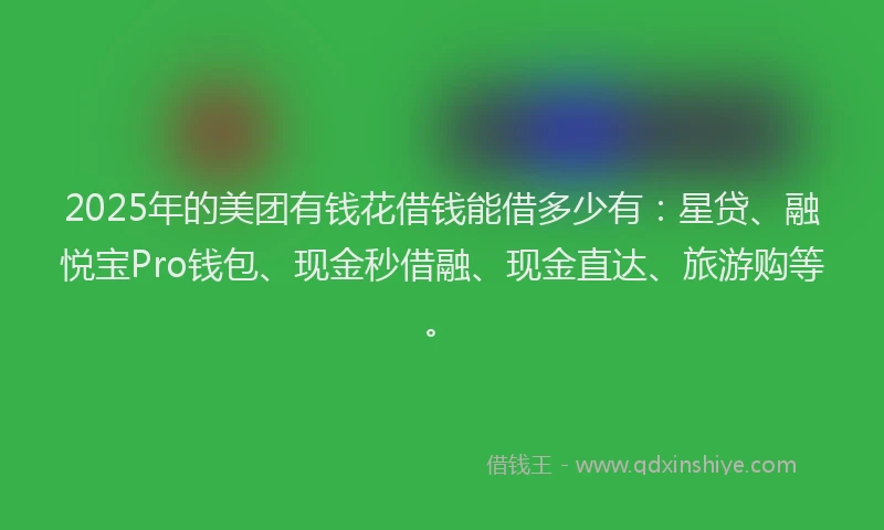 2025年的美团有钱花借钱能借多少有：星贷、融悦宝Pro钱包、现金秒借融、现金直达、旅游购等。