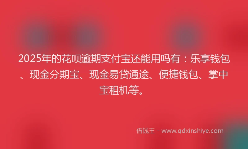 2025年的花呗逾期支付宝还能用吗有：乐享钱包、现金分期宝、现金易贷通途、便捷钱包、掌中宝租机等。