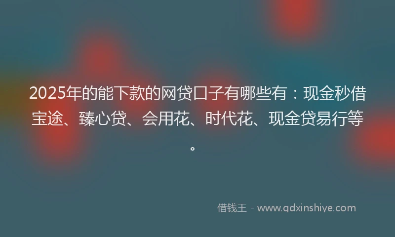 2025年的能下款的网贷口子有哪些有：现金秒借宝途、臻心贷、会用花、时代花、现金贷易行等。