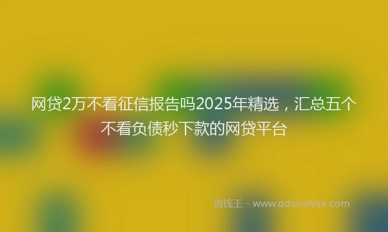 网贷2万不看征信报告吗2025年精选，汇总五个不看负债秒下款的网贷平台