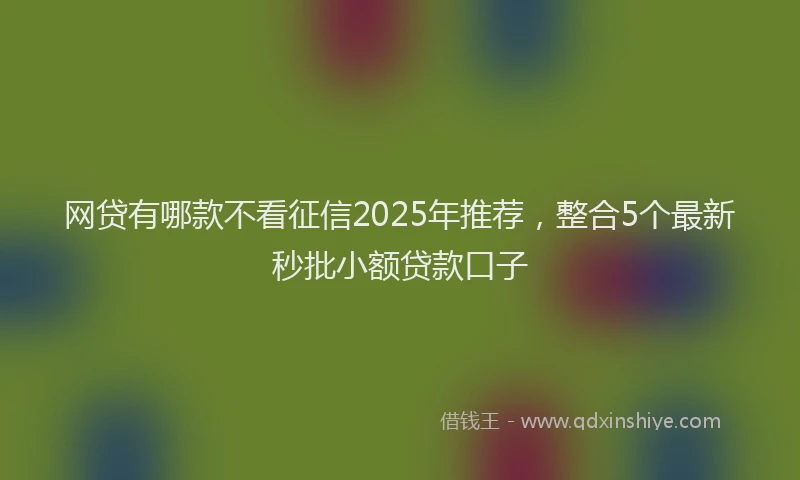网贷有哪款不看征信2025年推荐，整合5个最新秒批小额贷款口子