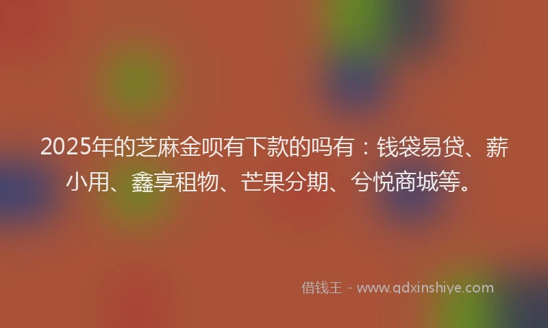 2025年的芝麻金呗有下款的吗有：钱袋易贷、薪小用、鑫享租物、芒果分期、兮悦商城等。