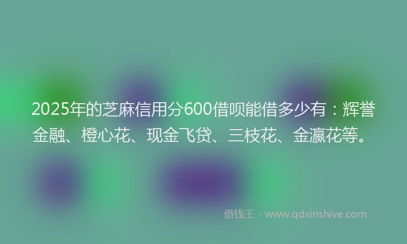 2025年的芝麻信用分600借呗能借多少有：辉誉金融、橙心花、现金飞贷、三枝花、金瀛花等。