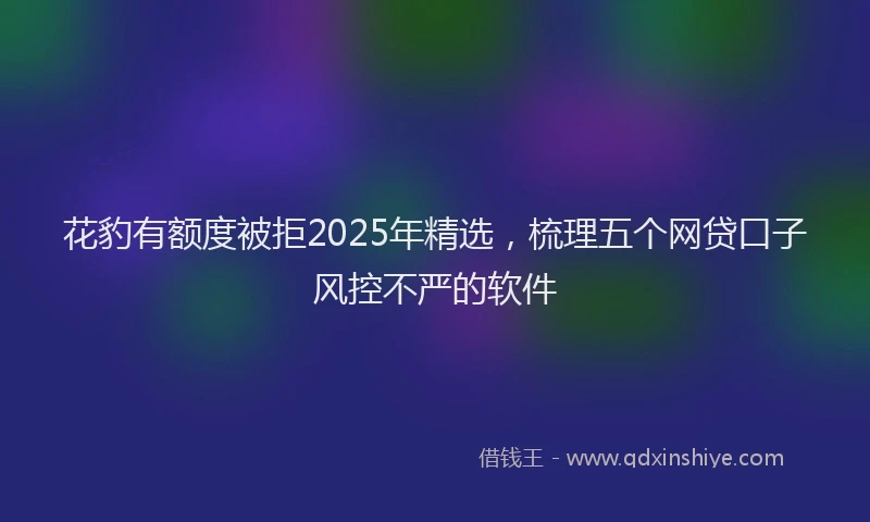 花豹有额度被拒2025年精选，梳理五个网贷口子风控不严的软件