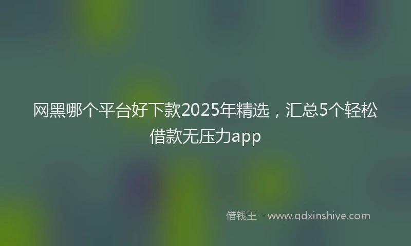 网黑哪个平台好下款2025年精选，汇总5个轻松借款无压力app
