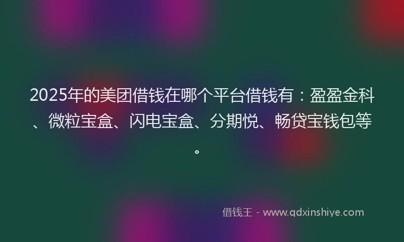 2025年的美团借钱在哪个平台借钱有：盈盈金科、微粒宝盒、闪电宝盒、分期悦、畅贷宝钱包等。