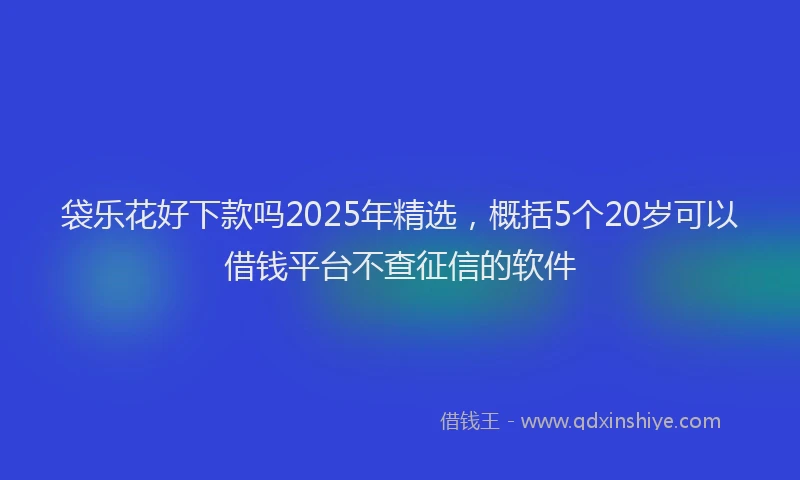 袋乐花好下款吗2025年精选，概括5个20岁可以借钱平台不查征信的软件