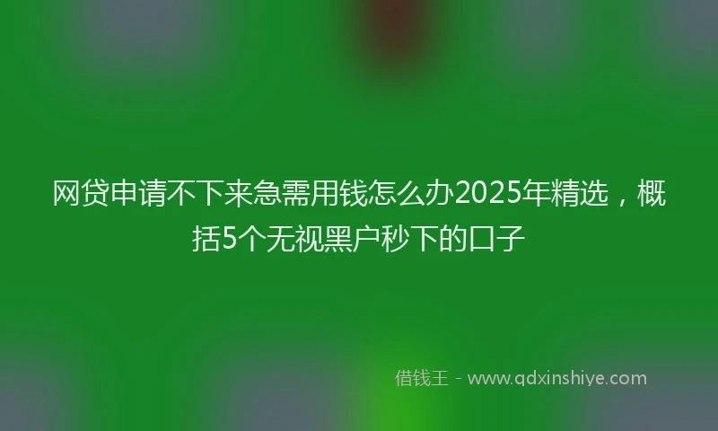 网贷申请不下来急需用钱怎么办2025年精选，概括5个无视黑户秒下的口子