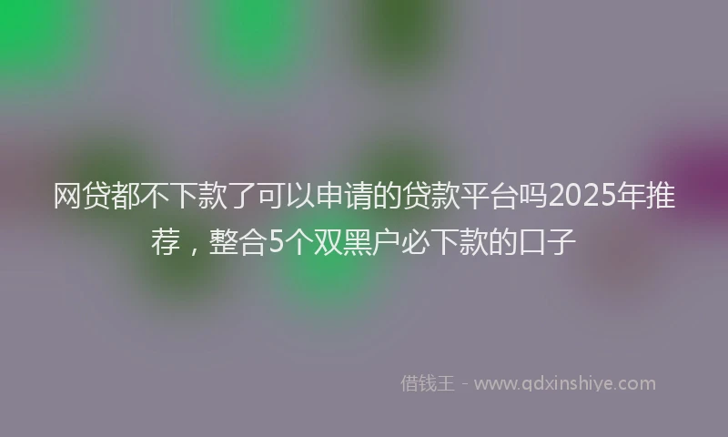 网贷都不下款了可以申请的贷款平台吗2025年推荐，整合5个双黑户必下款的口子