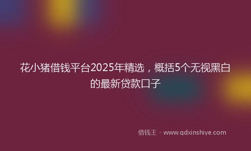 花小猪借钱平台2025年精选，概括5个无视黑白的最新贷款口子