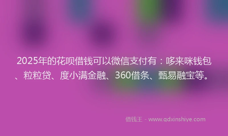 2025年的花呗借钱可以微信支付有：哆来咪钱包、粒粒贷、度小满金融、360借条、甄易融宝等。